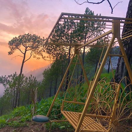 Bed and Breakfast The Westberry 50Mtrs Offroading And 50 Mtrs Nature Path Шимла Экстерьер фото