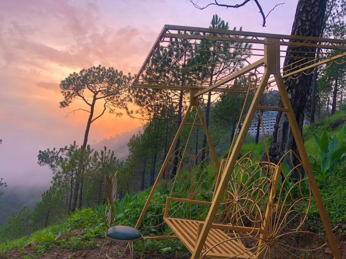 Bed and Breakfast The Westberry 50Mtrs Offroading And 50 Mtrs Nature Path Шимла Экстерьер фото